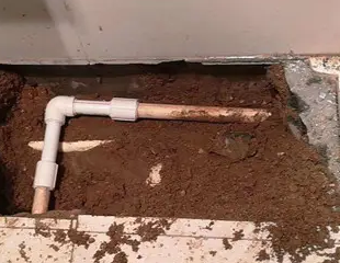 回民测漏水哪家好