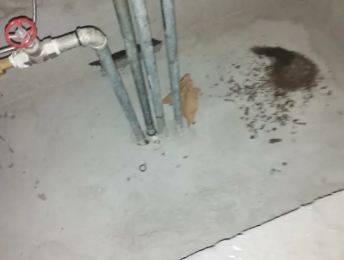 回民卫生间测漏水价格明细